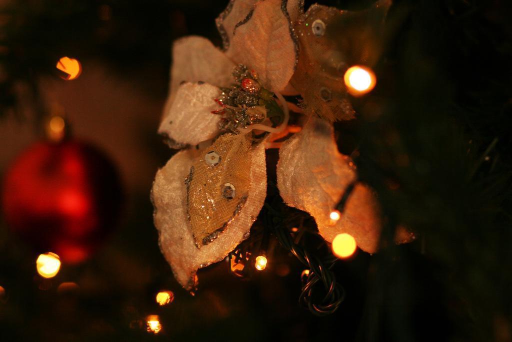 Palazzo Il Cavaliere B&B De Charme โมดิกา ภายนอก รูปภาพ